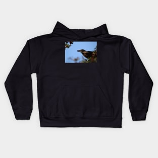 Robin Kids Hoodie